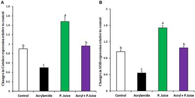 Taify Pomegranate Juice (TPJ) Abrogates Acrylamide-Induced Oxidative Stress Through the Regulation of Antioxidant Activity, Inflammation, and Apoptosis-Associated Genes